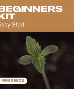 Beginners Pack