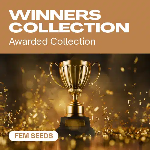 Winners Collection