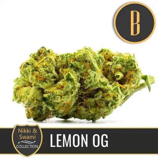 Nikki & Swami’s Lemon OG - Image 3