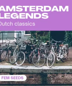 Amsterdam Legends