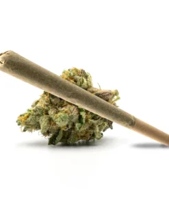 Pink Obama Pre Roll