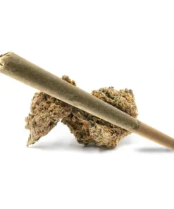 RS11 Pre Roll
