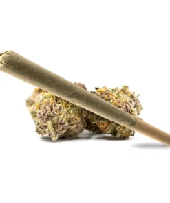 Strawberry Pre Roll