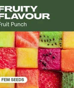 Fruity Flavour