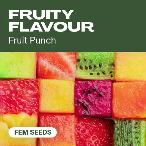 Fruity Flavour