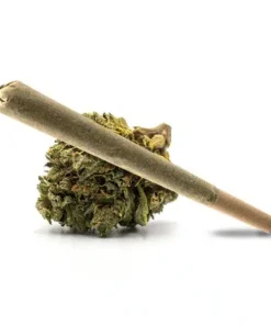 Z Runtz Pre Roll